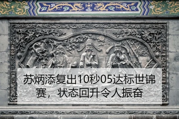 su-bing-tian-fu-chu-miao-da-biao-shi-jin-sai-zhuang-tai-hui-sheng-ling-ren-zhen-fen-2-674.jpg