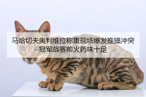 马哈切夫奥利维拉称重现场爆发推搡冲突 冠军战赛前火药味十足